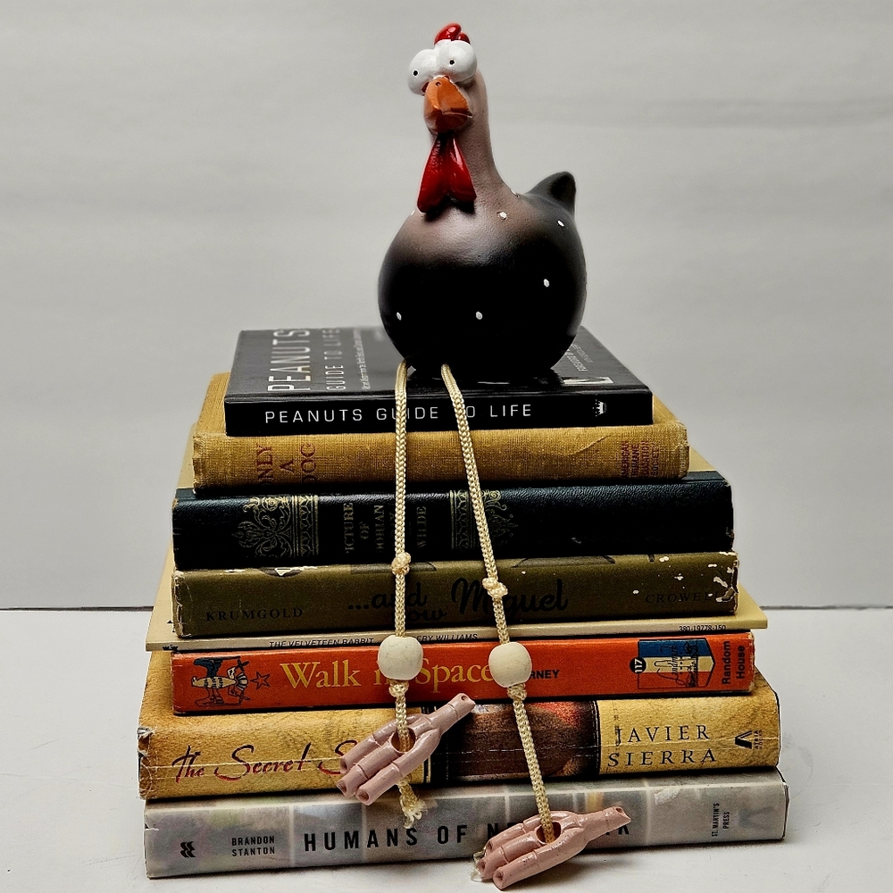 Fun, Silly Chicken Shelf Buddy